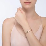 [ Cartier ] Cartier LOVE BRACELET, 4 DIAMONDS Bracelet, 4 diamonds - Image 18