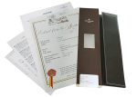 Patek Philippe - Calatrava Smoseco| PATEK PHILIPPE| 3923A| SS Silver Clock Hand Winding Leather| 150th Anniversary| 1 Japan limited 150 copies| Middle Ages| - Image 11